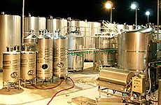 Tanduay Distillers, Inc