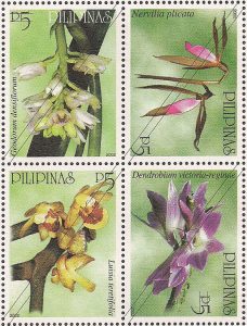 Native Philippine Orchids II