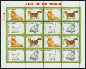 Various Breeds of Domestic Cat