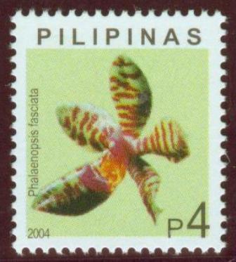 ﻿Phalaenopsis fasciata