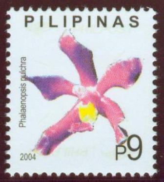 ﻿Phalaenopsis pulchra