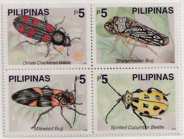 Insects of the Philippines