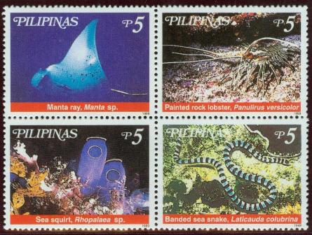 Philippine Marine Biodiversity